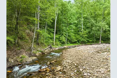 449 Little East Fork Road, Canton, NC 28716 - Photo 9