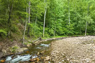 449 Little East Fork Rd, Canton, NC 28716 - Photo 9