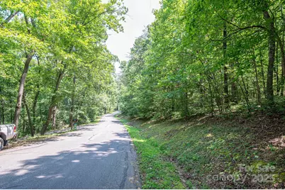 Lot #49 Moss Drive, Rutherfordton, NC 28139 - Photo 9