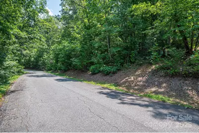 Lot #36 Moss Drive, Rutherfordton, NC 28139 - Photo 11