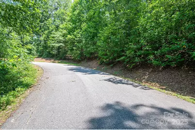Lot #36 Moss Drive, Rutherfordton, NC 28139 - Photo 9