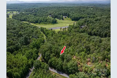 Lot #6 Cleghorn Mill Road, Rutherfordton, NC 28139 - Photo 19