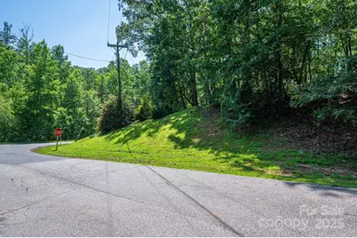 Lot #6 Cleghorn Mill Road, Rutherfordton, NC 28139 - Photo 25