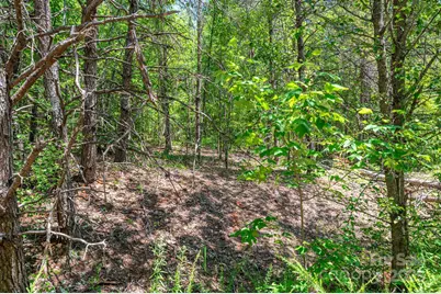 0 Meadow Crossing Drive, Rutherfordton, NC 28139 - Photo 21