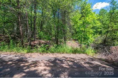 0 Meadow Crossing Drive, Rutherfordton, NC 28139 - Photo 15