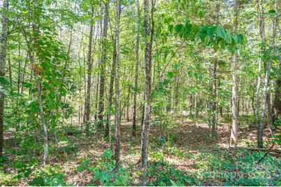 Lot # 16 Meadow Crossing Drive, Rutherfordton, NC 28139 - Photo 1