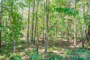 Lot # 16 Meadow Crossing Dr, Rutherfordton, NC 28139 - Photo 1