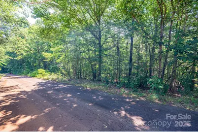 Lot # 16 Meadow Crossing Drive, Rutherfordton, NC 28139 - Photo 3