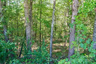 Lot 7 Meadow Crossing Dr, Rutherfordton, NC 28139 - Photo 1
