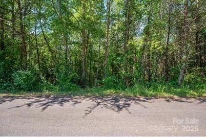 Lot 7 Meadow Crossing Drive, Rutherfordton, NC 28139 - Photo 5