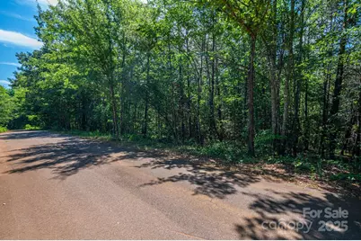 Lot # 15 Meadow Crossing Drive, Rutherfordton, NC 28139 - Photo 11