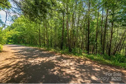 Lot # 15 Meadow Crossing Drive, Rutherfordton, NC 28139 - Photo 13