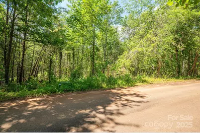 Lot #14 Meadow Crossing Drive, Rutherfordton, NC 28139 - Photo 3