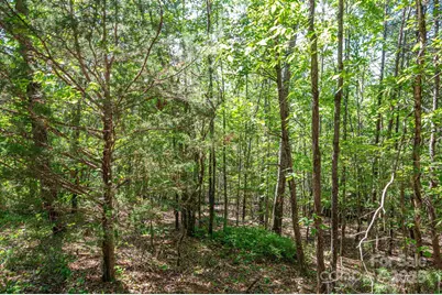 Lot #14 Meadow Crossing Drive, Rutherfordton, NC 28139 - Photo 1