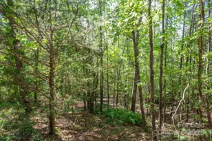 Lot #14 Meadow Crossing Dr, Rutherfordton, NC 28139 - Photo 1