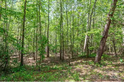 Lot #14 Meadow Crossing Drive, Rutherfordton, NC 28139 - Photo 15