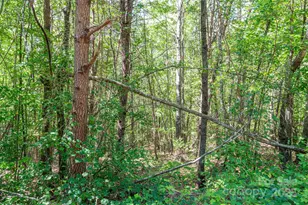 Lot #13 Meadow Crossing Dr, Rutherfordton, NC 28139 - Photo 1