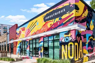 649 Raphael Place, Charlotte, NC 28205 - Photo 41