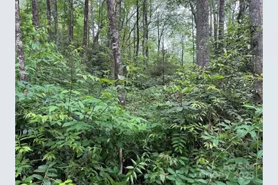 63 Apple Bee Road, Brevard, NC 28712 - Photo 19