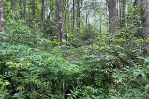 63 Apple Bee Rd, Brevard, NC 28712 - Photo 19