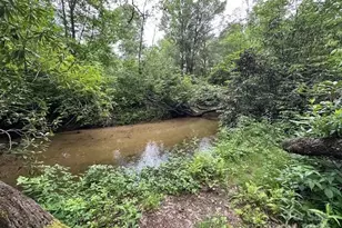 63 Apple Bee Rd, Brevard, NC 28712 - Photo 3