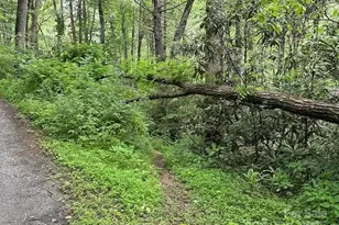 63 Apple Bee Rd, Brevard, NC 28712 - Photo 13