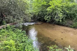 63 Apple Bee Rd, Brevard, NC 28712 - Photo 15