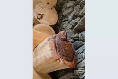 303 Flying Hawk Trail, Waynesville, NC 28786 - Photo 19