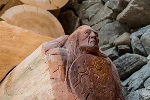 303 Flying Hawk Trl, Waynesville, NC 28786 - Photo 19