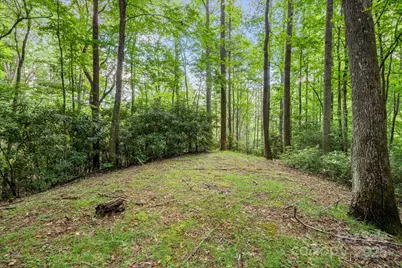 79 Creekside Lane, Spruce Pine, NC 28777 - Photo 43