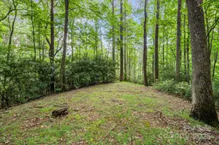 79 Creekside Ln, Spruce Pine, NC 28777 - Photo 43