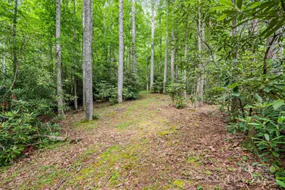 79 Creekside Lane, Spruce Pine, NC 28777 - Photo 41