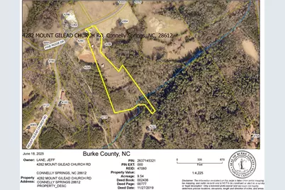 4282 Mount Gilead Church Road, Connelly Springs, NC 28612 - Photo 11