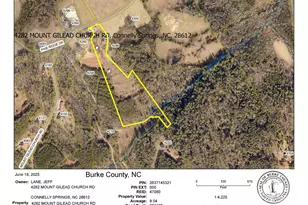 4282 Mt Gilead Church Rd, Connelly Springs, NC 28612 - Photo 11