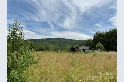 4282 Mount Gilead Church Road, Connelly Springs, NC 28612 - Photo 3