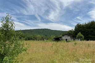 4282 Mt Gilead Church Rd, Connelly Springs, NC 28612 - Photo 3