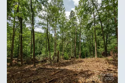 28 Windcliff Drive, Asheville, NC 28803 - Photo 7