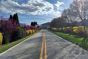 12 Asher Ln, Arden, NC 28704 - Photo 43