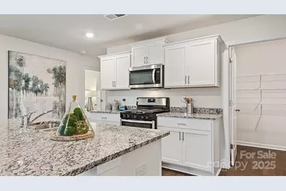 12125 Lady Bell Drive, Charlotte, NC 28278 - Photo 9