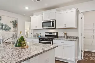 12125 Lady Bell Dr, Charlotte, NC 28278 - Photo 9