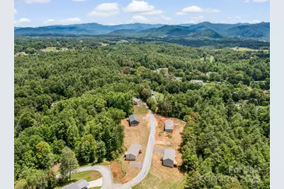 209 Walnut Branch Road, Weaverville, NC 28787 - Photo 39