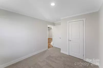 209 Walnut Branch Road, Weaverville, NC 28787 - Photo 33