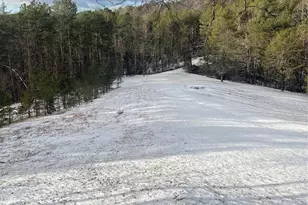 282 Calhoun Trail, Rutherfordton, NC 28139 - Photo 29