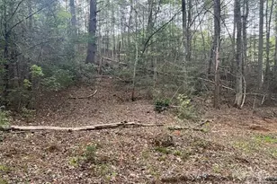 65 Cunningham Rd, Bryson City, NC 28713 - Photo 39