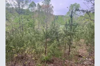 65 Cunningham Road, Bryson City, NC 28713 - Photo 31