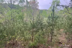 65 Cunningham Rd, Bryson City, NC 28713 - Photo 31