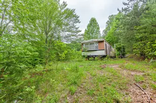 65 Cunningham Rd, Bryson City, NC 28713 - Photo 13