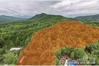 65 Cunningham Road, Bryson City, NC 28713 - Photo 3