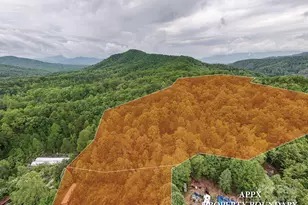 65 Cunningham Rd, Bryson City, NC 28713 - Photo 3