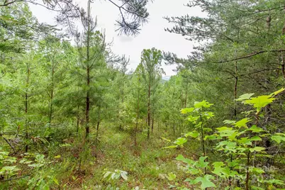 65 Cunningham Road, Bryson City, NC 28713 - Photo 19